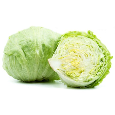 INSALATA GHIACCIO FRESCA